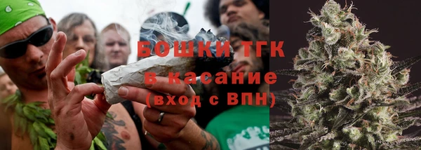 МДПВ Ельня