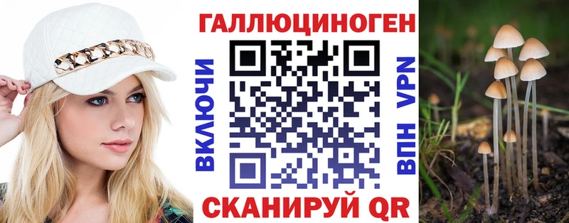 mega зеркало  Зима  Галлюциногенные грибы Psilocybe  как найти наркотики 