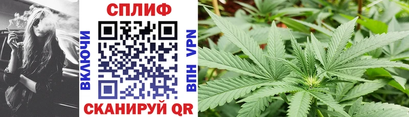как найти закладки Зима Бошки марихуана SATIVA & INDICA